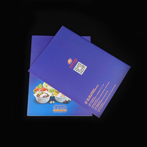 彩源印刷 公司畫(huà)冊(cè)印刷設(shè)計(jì)的懷化首選，品質(zhì)鑄就信賴